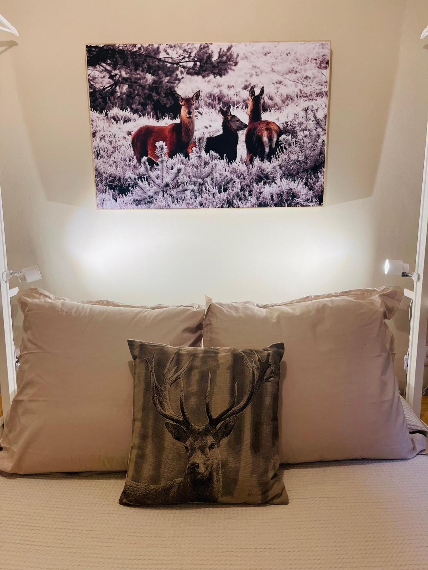 Cal Querol 1 - Centre Apartment ปุจเซร์ดา ภายนอก รูปภาพ